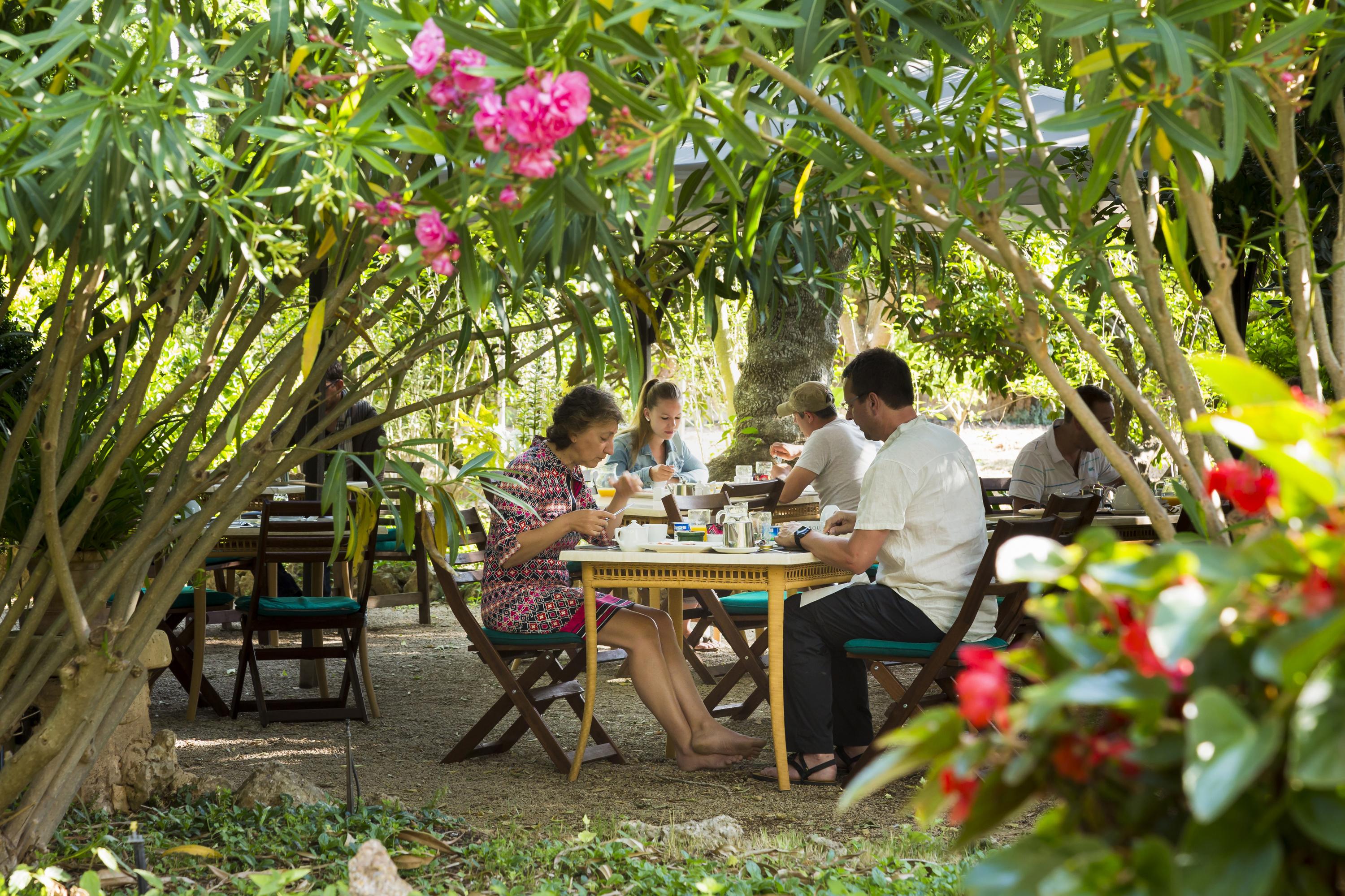 Agroturisme Sa Torre (Adults Only) Santa Eugenia Exterior photo