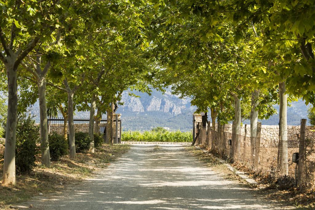 Agroturisme Sa Torre (Adults Only) Santa Eugenia Exterior photo